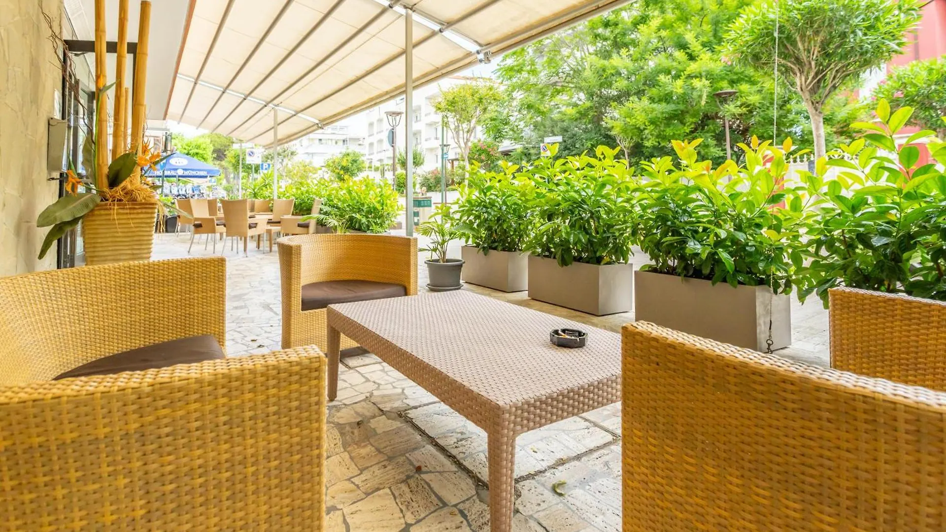 Hotel Selene - Vista Mare Riccione